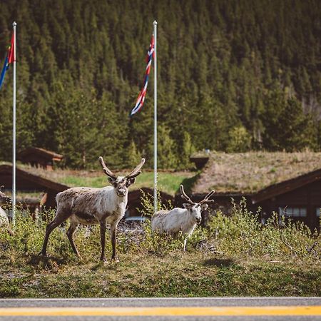 Вилла Saltdal Turistsenter Storjord Экстерьер фото