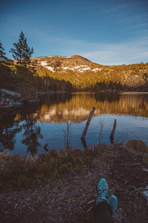 Вилла Saltdal Turistsenter Storjord Экстерьер фото